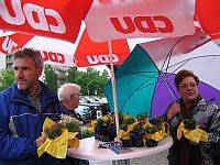 Unsere Blumen in Nahaufnahme. 